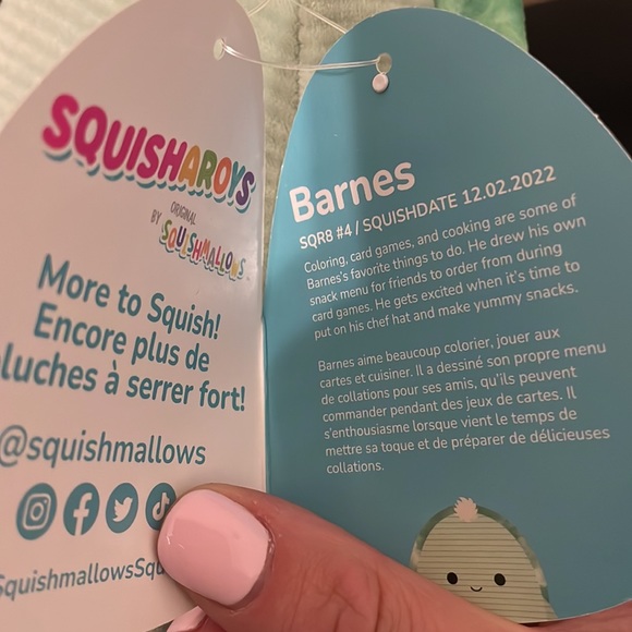 NWT Squishmallow squish-a-roys Barnes the corduroy turtle 🐢 tie dye shell 8” - Picture 3 of 4